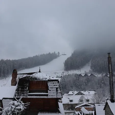 гостинний двір вишня Μπούκοβελ