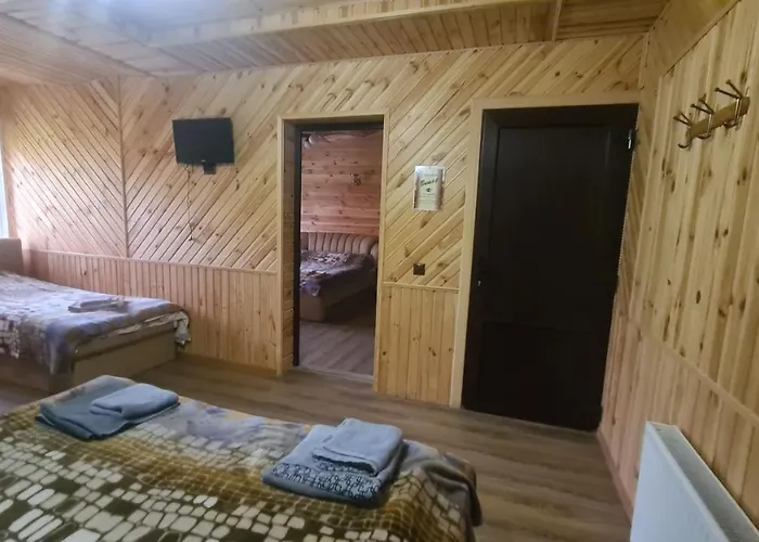 招待所 гостинний двір вишня 布克维