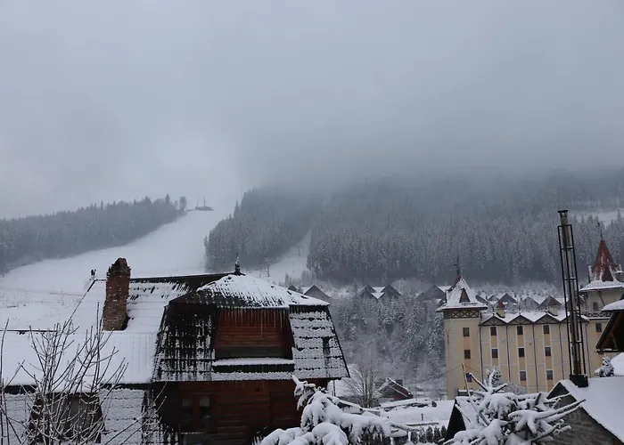 гостинний двір вишня 布克维