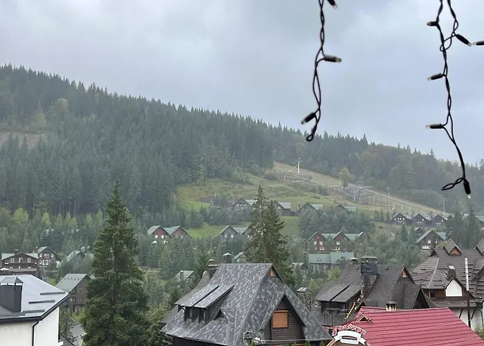 гостинний двір вишня 招待所