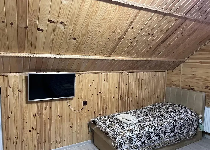 гостинний двір вишня 布克维