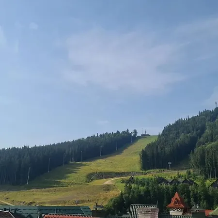 гостинний двір вишня Gasthof Bukowel