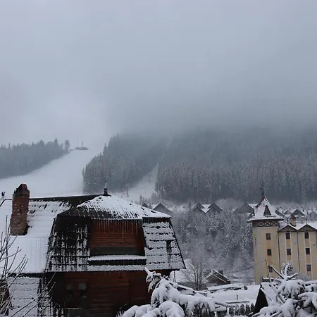 гостинний двір вишня Bukovel