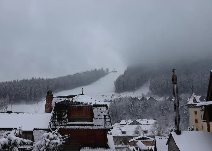 гостинний двір вишня Bukovel