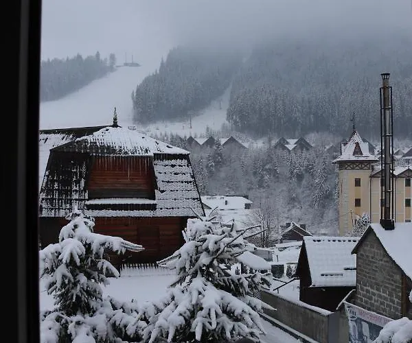 гостинний двір вишня 3* Bukovel
